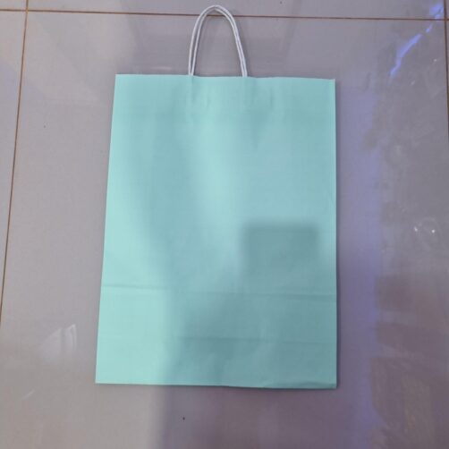 BOLSA DE REGALOS 42X31 COLORIDOS GRANDE