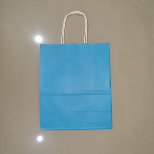 BOLSA DE REGALO MEDIANO OM19216 COLORIDO CARTON