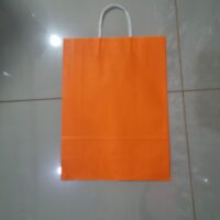 BOLSA DE CARTON GRANDE OM19218 COLORIDO
